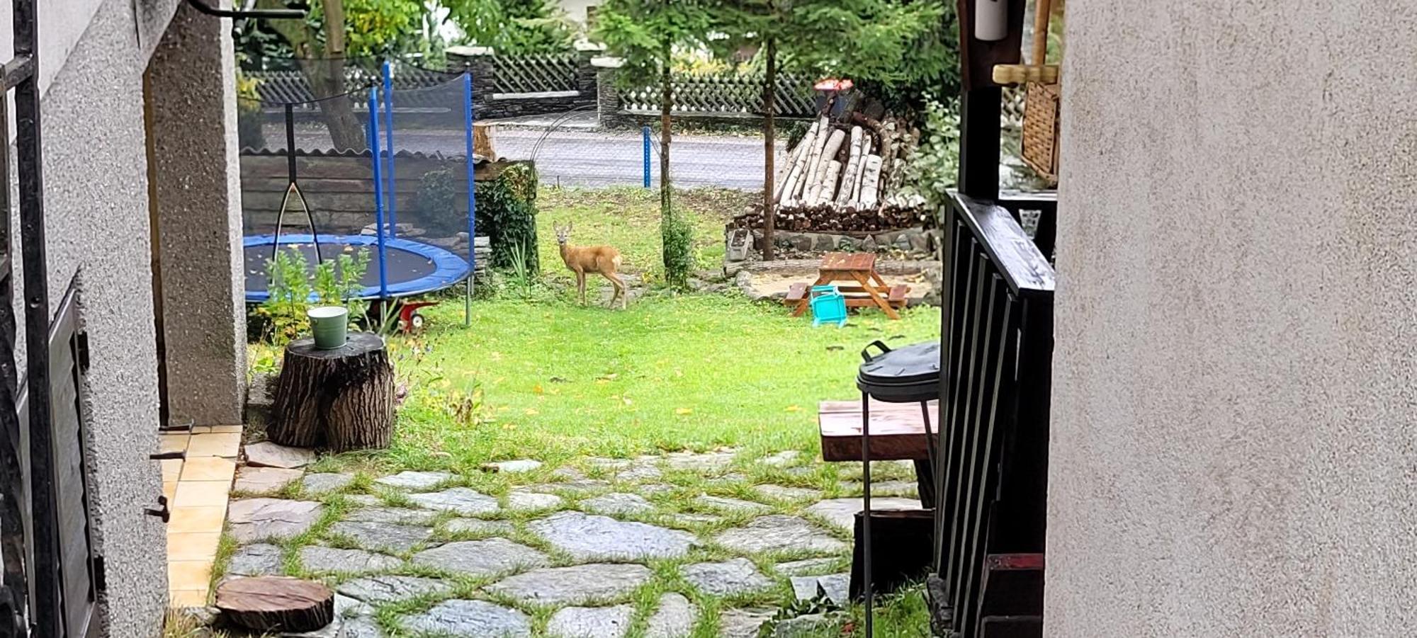 Huette Auf 1000M Hoehe In Moenichkirchen. Eksteriør billede